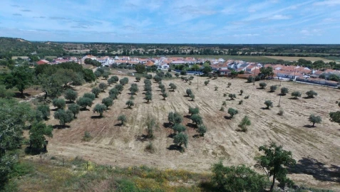 Terreno para Venda em São Domingos e Vale de Água