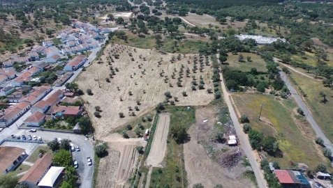 Terreno para Venda em São Domingos e Vale de Água