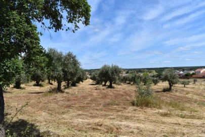 Terreno para Venda em São Domingos e Vale de Água