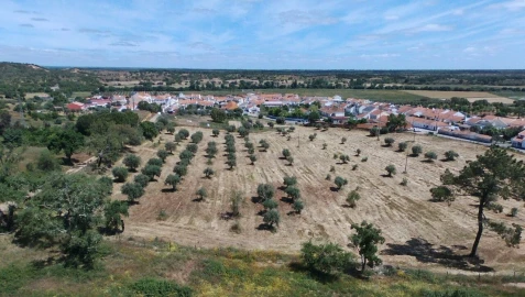 Terreno para Venda em São Domingos e Vale de Água