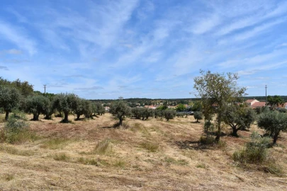 Terreno para Venda em São Domingos e Vale de Água