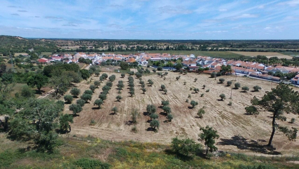 Terreno para Venda em São Domingos e Vale de Água Foto 12
