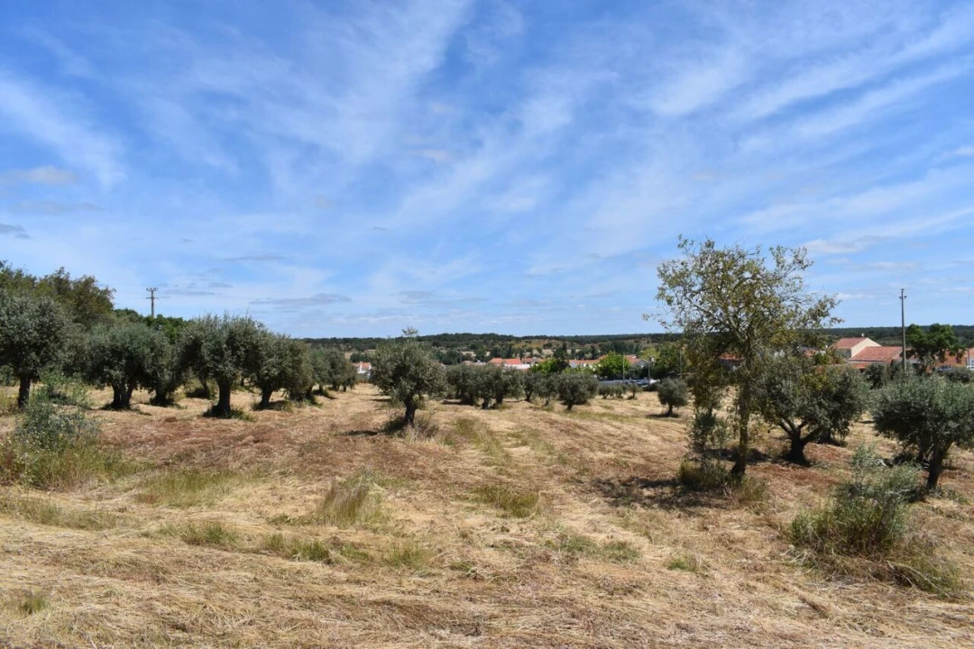 Terreno para Venda em São Domingos e Vale de Água Foto 8