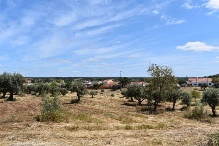 Terreno para Venda em São Domingos e Vale de Água Foto 7