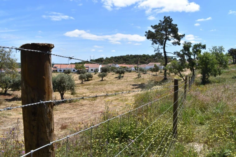 Terreno para Venda em São Domingos e Vale de Água Foto 9