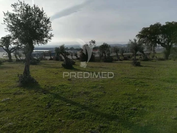 Terreno para Venda em Sé e São Lourenço