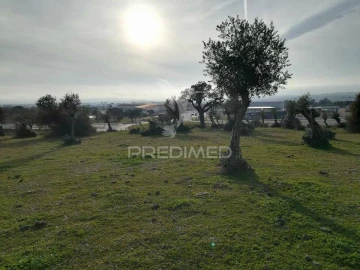Terreno para Venda em Sé e São Lourenço