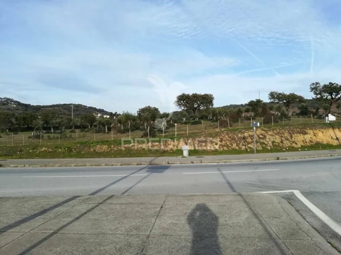 Terreno para Venda em Sé e São Lourenço Foto 4