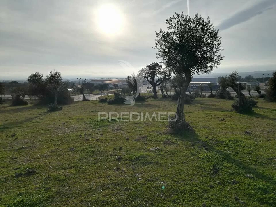 Terreno para Venda em Sé e São Lourenço Foto 5