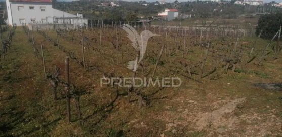 Terreno para Venda em Sé e São Lourenço
