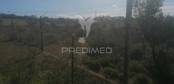 Terreno para Venda em Sé e São Lourenço