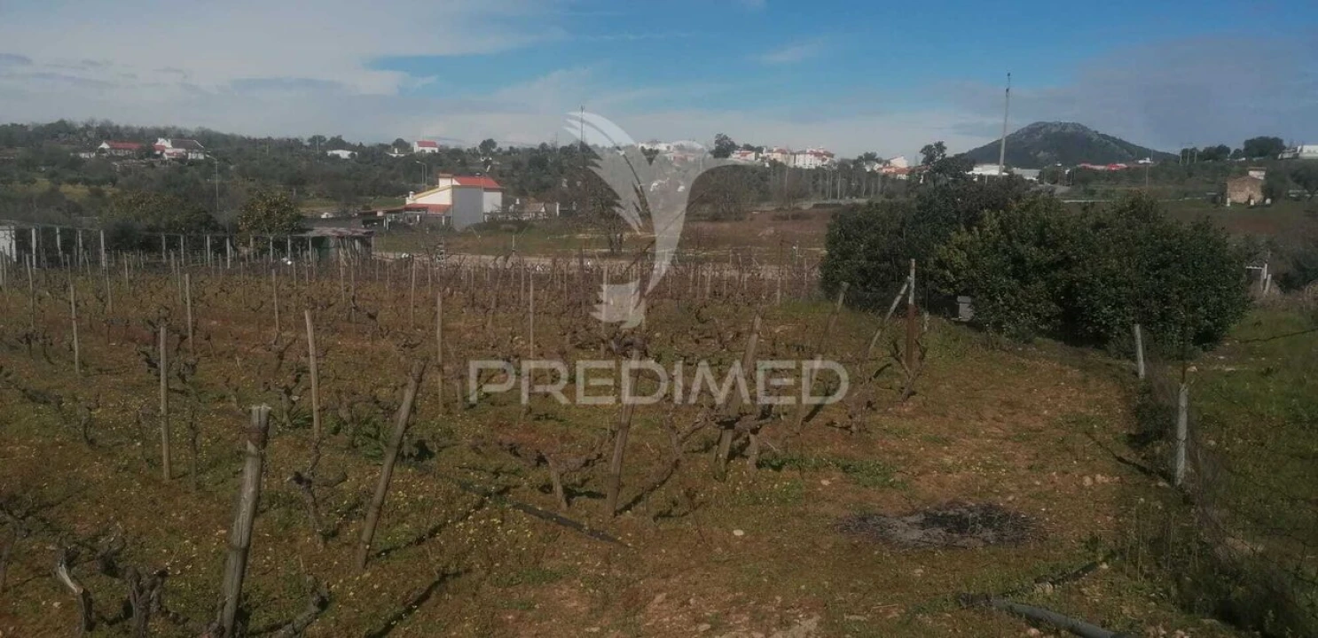 Terreno para Venda em Sé e São Lourenço Foto 4