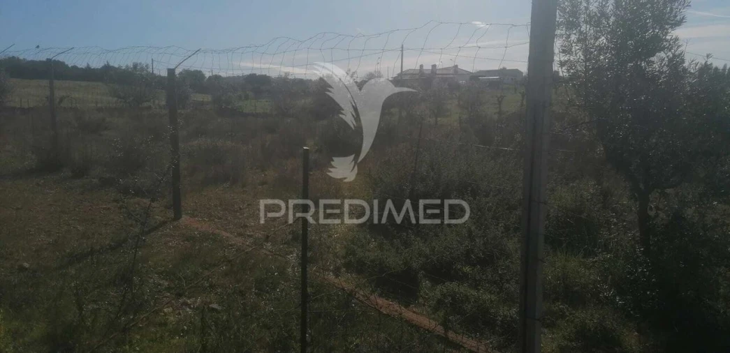 Terreno para Venda em Sé e São Lourenço Foto 3