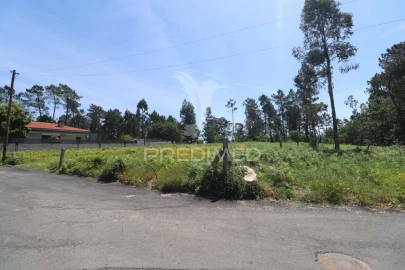 Terreno para Venda em Vila Verde e Barbudo