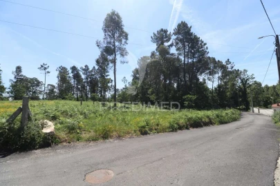 Terreno para Venda em Vila Verde e Barbudo