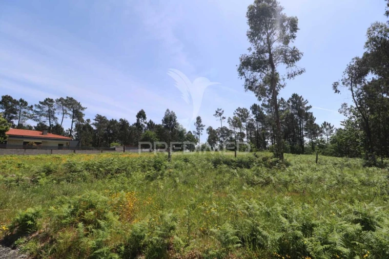 Terreno para Venda em Vila Verde e Barbudo Foto 8