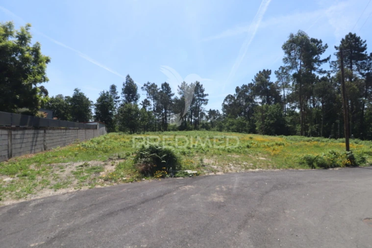 Terreno para Venda em Vila Verde e Barbudo Foto 2