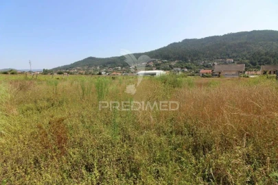 Terreno para Venda em Areias de Vilar e Encourados