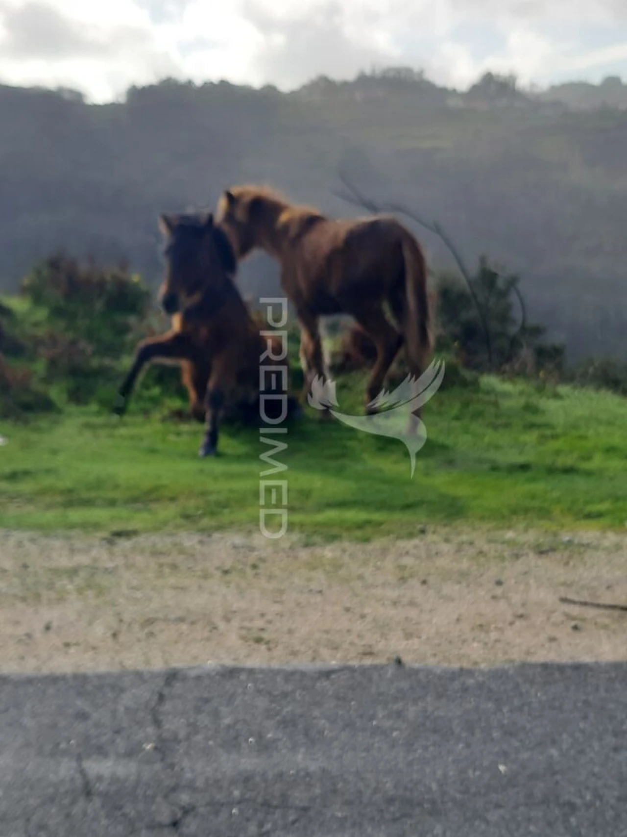 Terreno para Venda em Ribeira do Neiva Foto 2