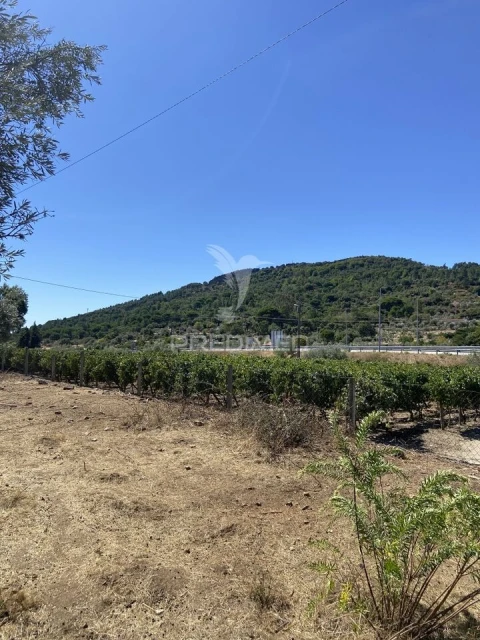 Terreno para Venda em Sé e São Lourenço