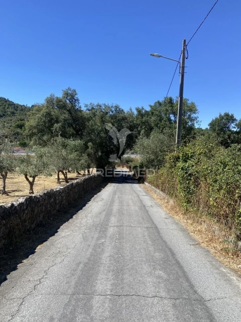 Terreno para Venda em Sé e São Lourenço