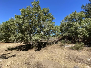 Terreno para Venda em Sé e São Lourenço