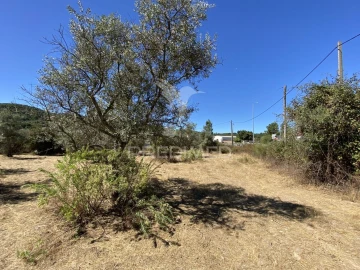 Terreno para Venda em Sé e São Lourenço