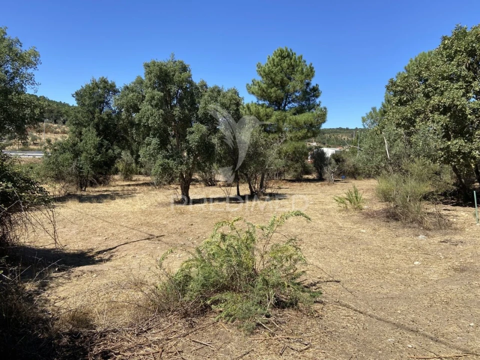 Terreno para Venda em Sé e São Lourenço Foto 5