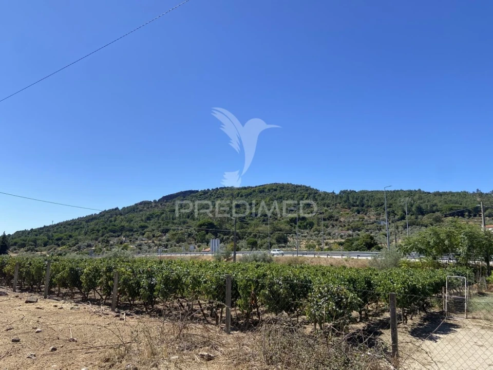 Terreno para Venda em Sé e São Lourenço Foto 22