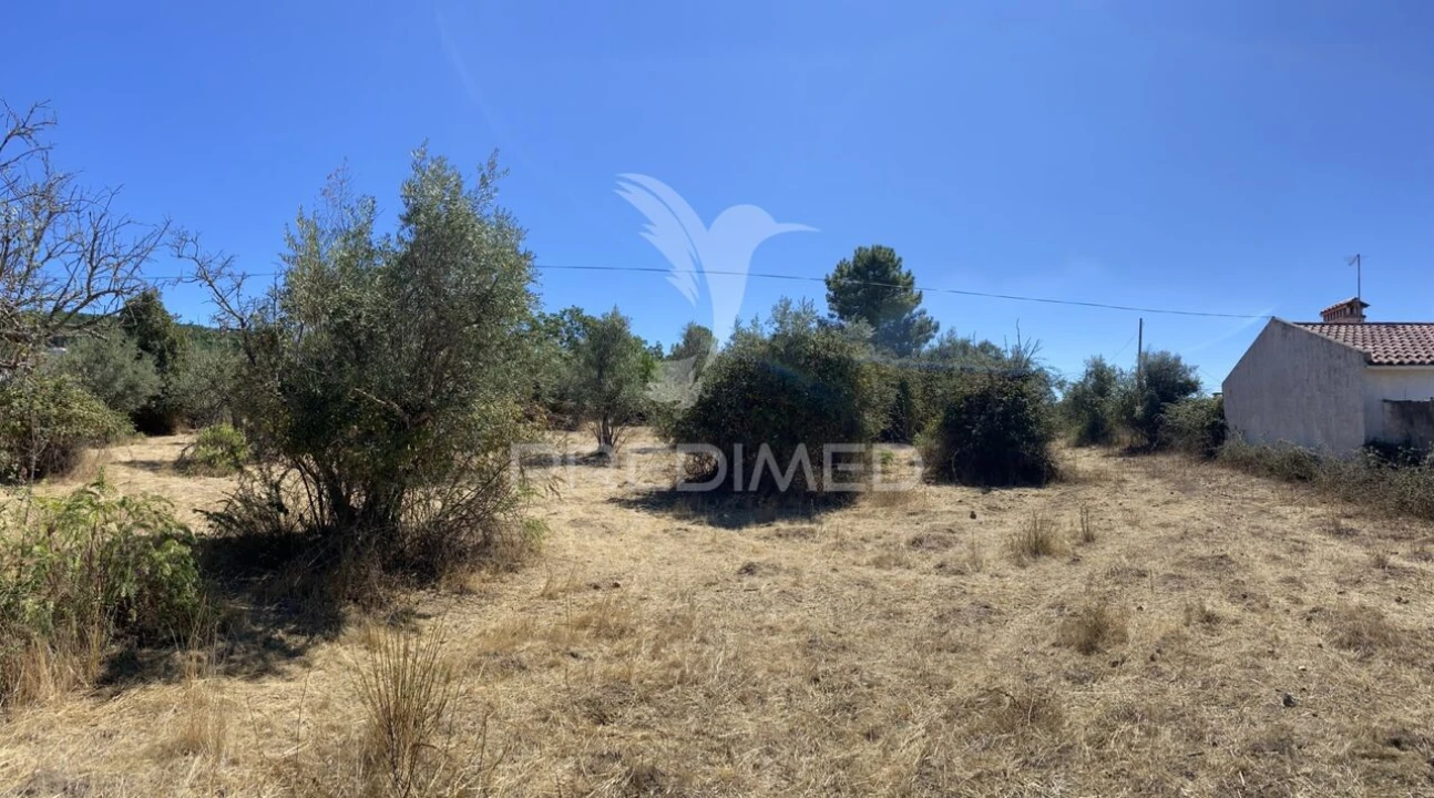 Terreno para Venda em Sé e São Lourenço Foto 20