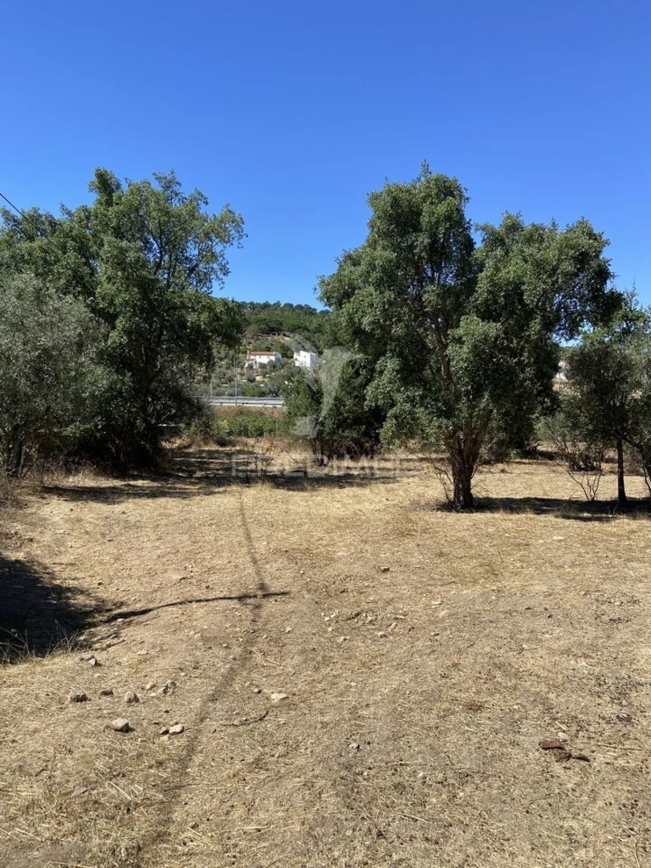 Terreno para Venda em Sé e São Lourenço Foto 7