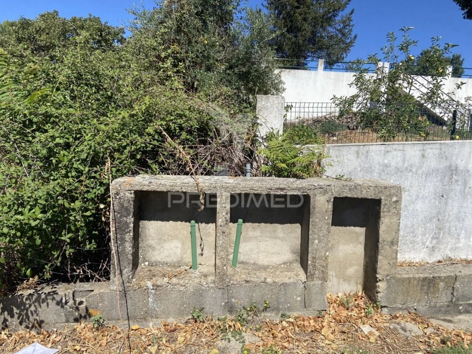 Terreno para Venda em Sé e São Lourenço Foto 26