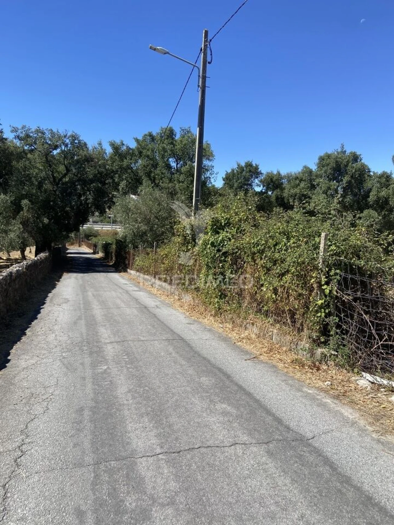 Terreno para Venda em Sé e São Lourenço Foto 29