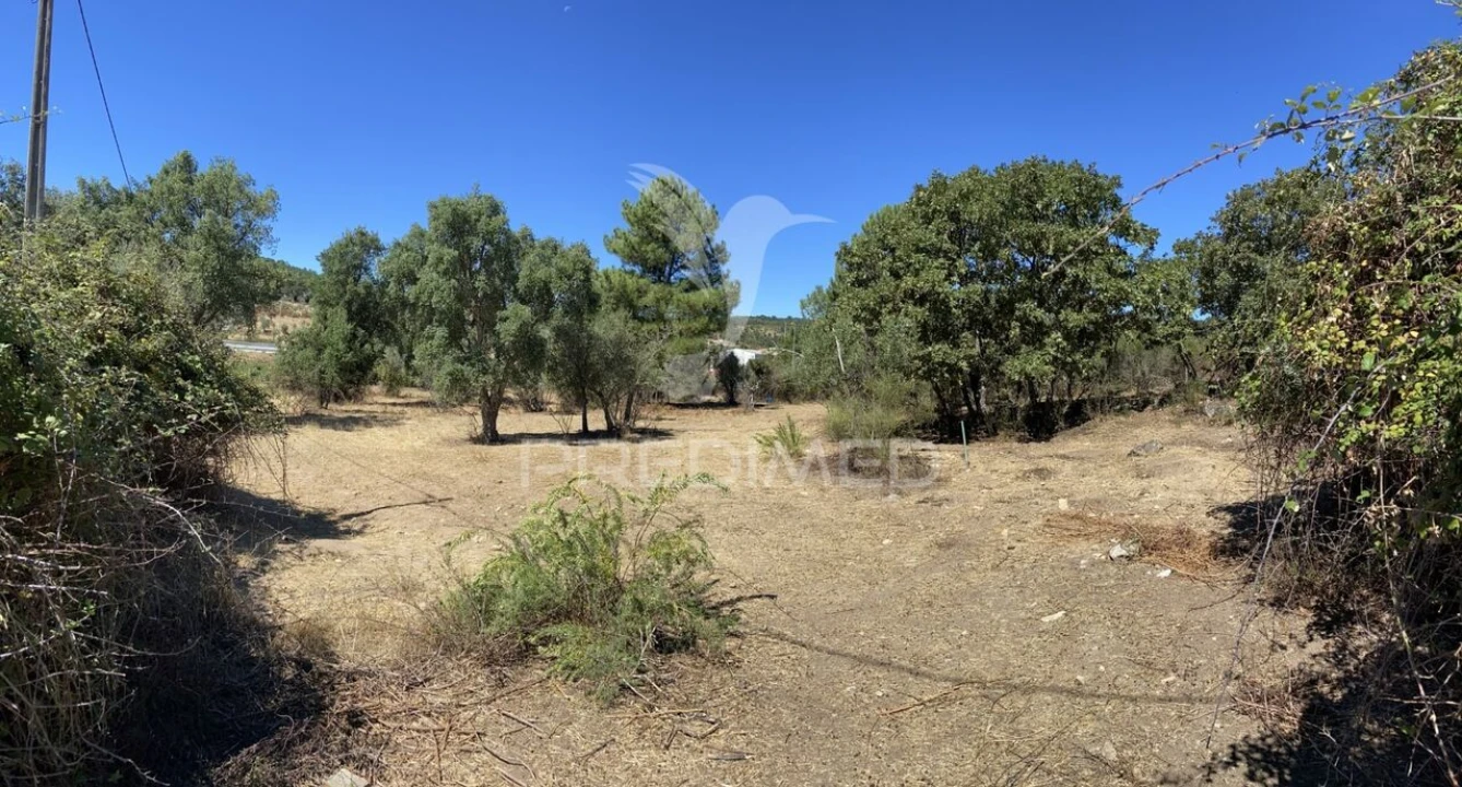 Terreno para Venda em Sé e São Lourenço Foto 6