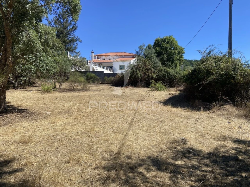 Terreno para Venda em Sé e São Lourenço Foto 25