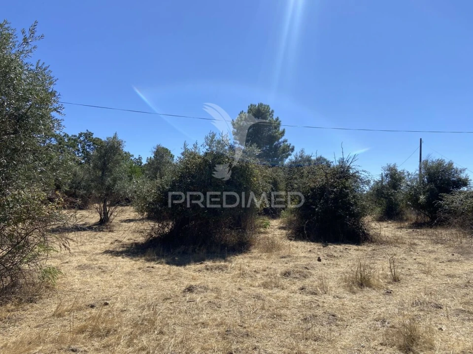 Terreno para Venda em Sé e São Lourenço Foto 19