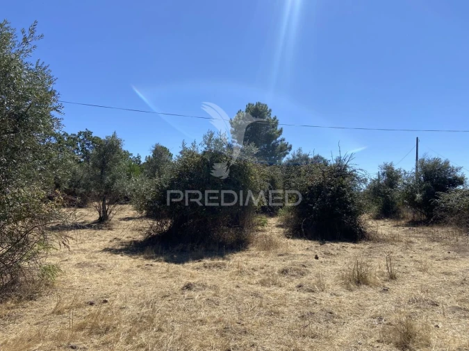 Terreno para Venda em Sé e São Lourenço Foto 19