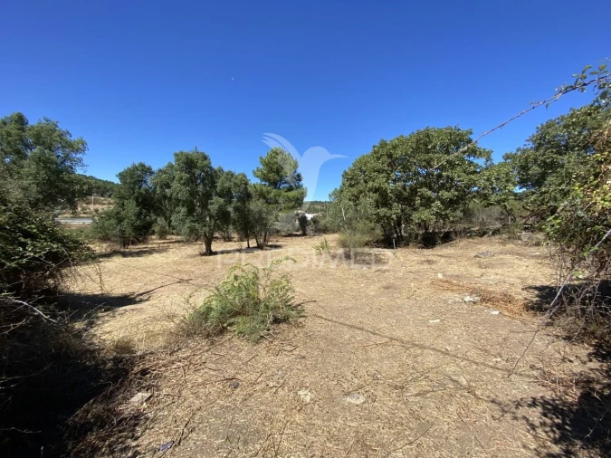 Terreno para Venda em Sé e São Lourenço Foto 4