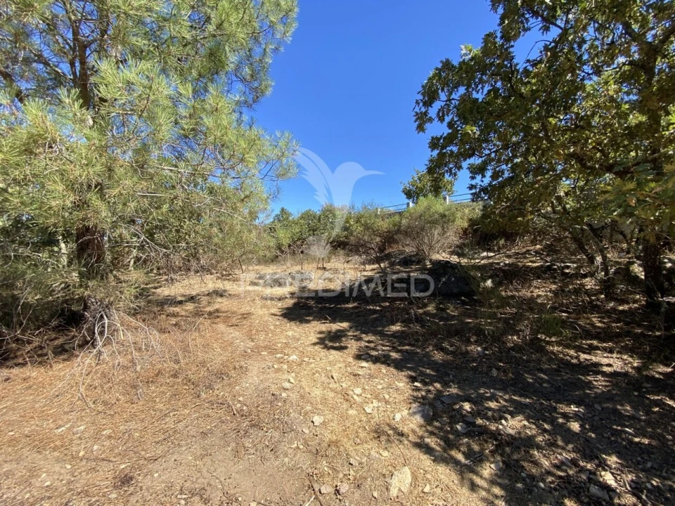 Terreno para Venda em Sé e São Lourenço Foto 11