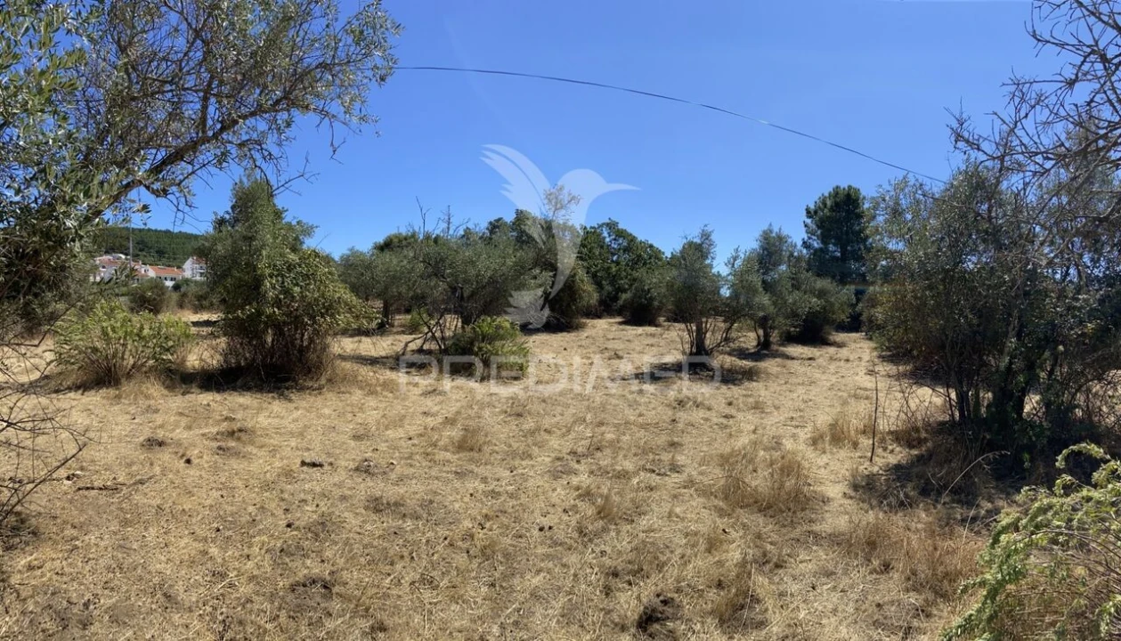 Terreno para Venda em Sé e São Lourenço Foto 18