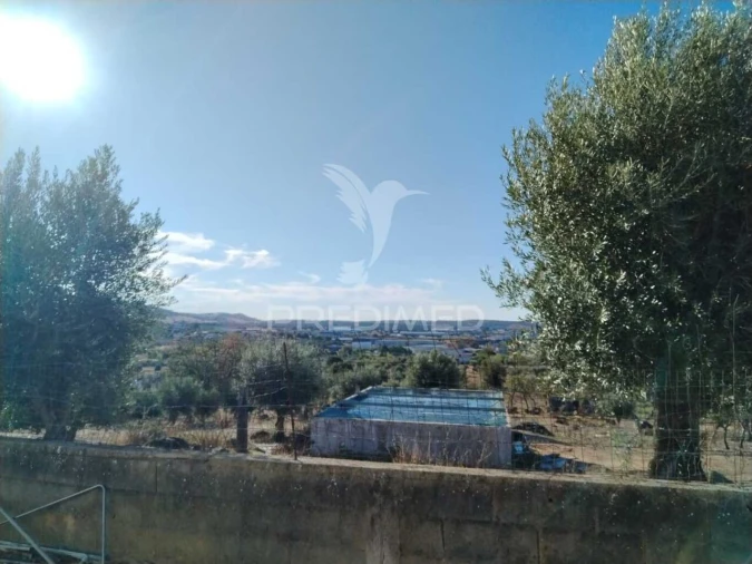 Quinta T3 para Venda em Sé e São Lourenço Foto 5