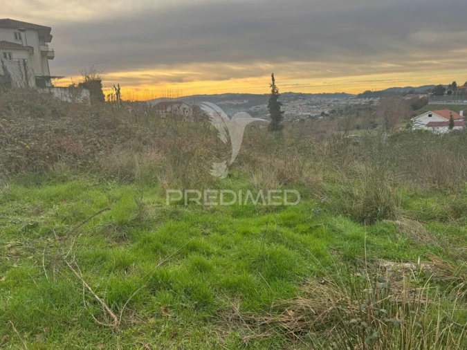 Terreno para Venda em Antime e Silvares (São Clemente) Foto 3