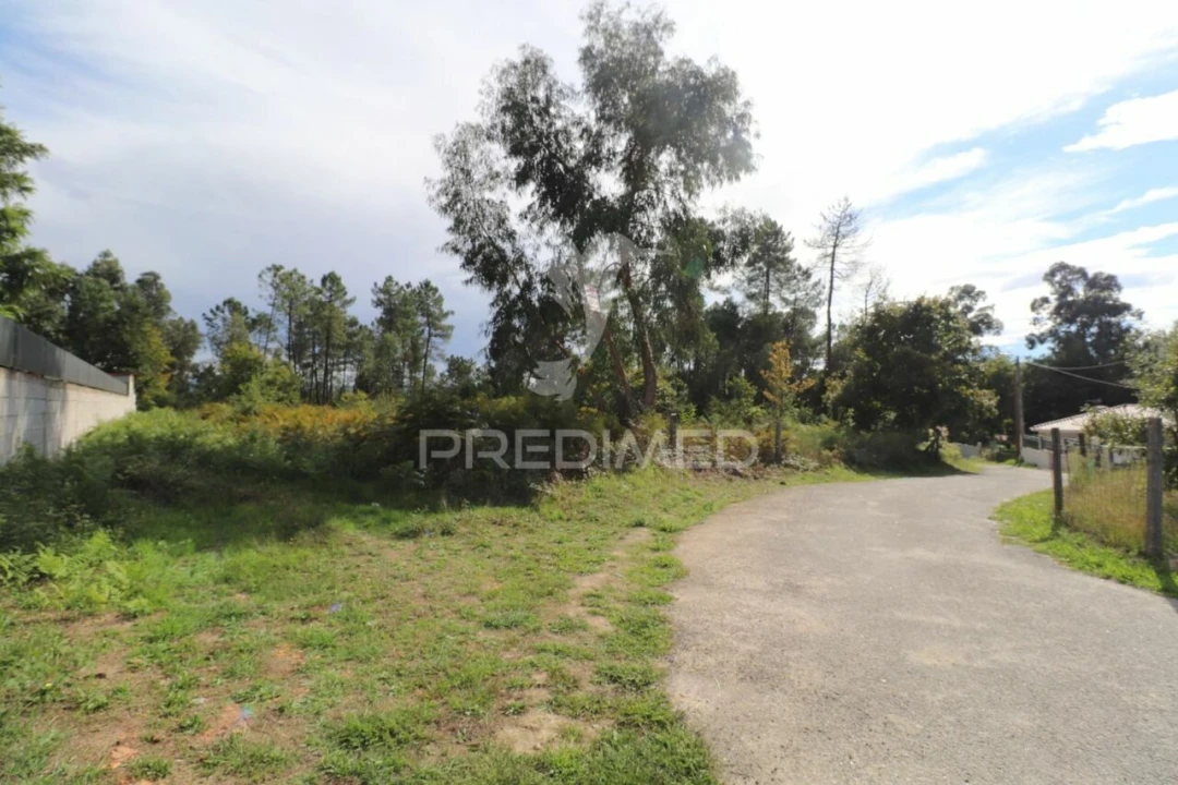 Terreno para Venda em Vila Verde e Barbudo Foto 5