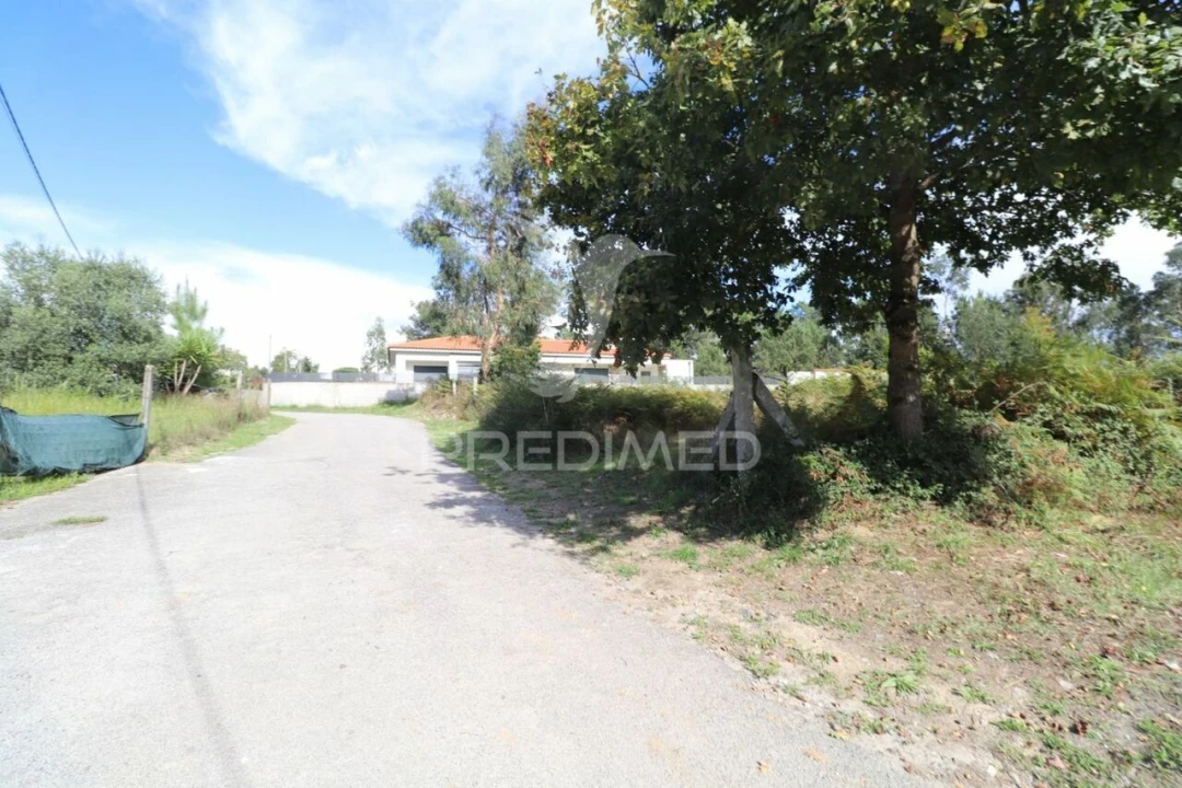 Terreno para Venda em Vila Verde e Barbudo Foto 2