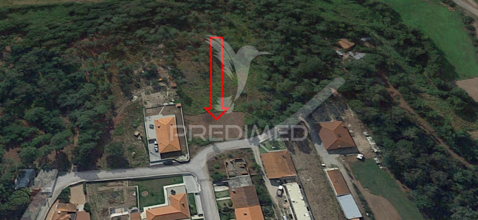 Terreno para Venda em Vila Verde e Barbudo Foto 1