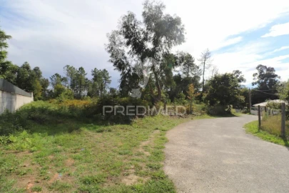 Terreno para Venda em Vila Verde e Barbudo
