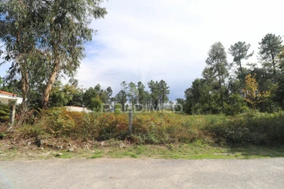 Terreno para Venda em Vila Verde e Barbudo