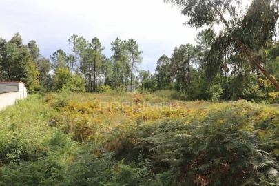 Terreno para Venda em Vila Verde e Barbudo
