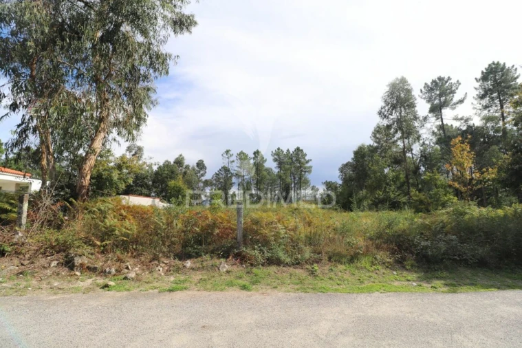 Terreno para Venda em Vila Verde e Barbudo Foto 3