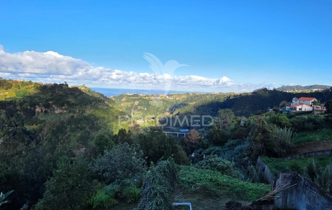 Terreno para Venda em Ilha Foto 12